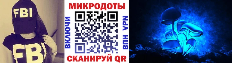 цены   Палласовка  кракен сайт  мориарти Telegram  Псилоцибиновые грибы GOLDEN TEACHER 